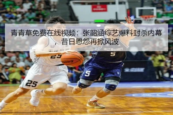 青青草免费在线视频：张韶涵综艺爆料封杀内幕，昔日恩怨再掀风波
